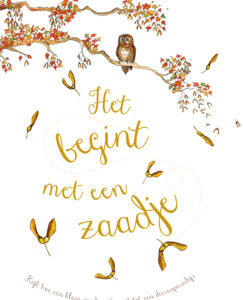 Het begint met een zaadje